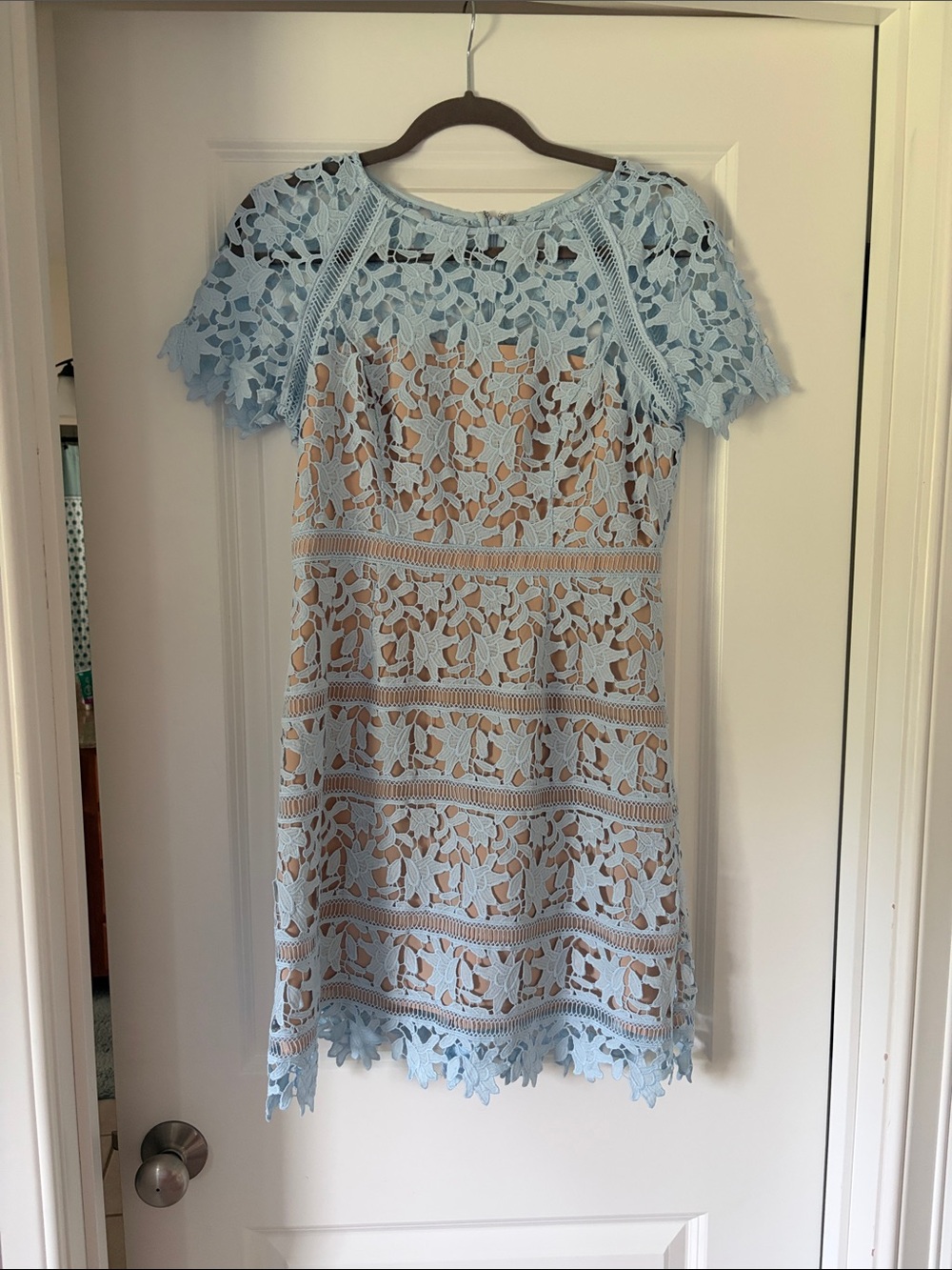Eliza J Light Blue Floral Lace Mini Dress